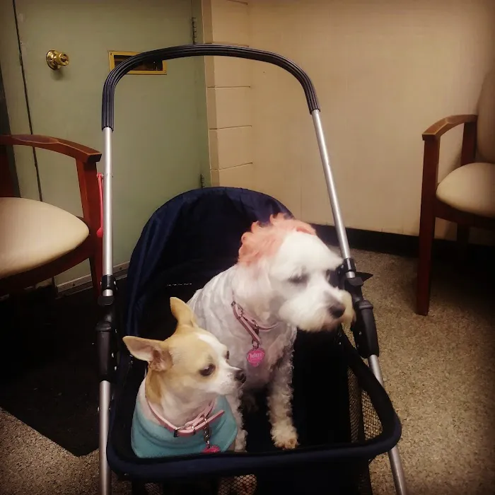 East Valley Veterinary Clinic 10