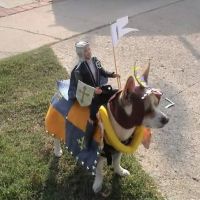 East Valley Veterinary Clinic ico