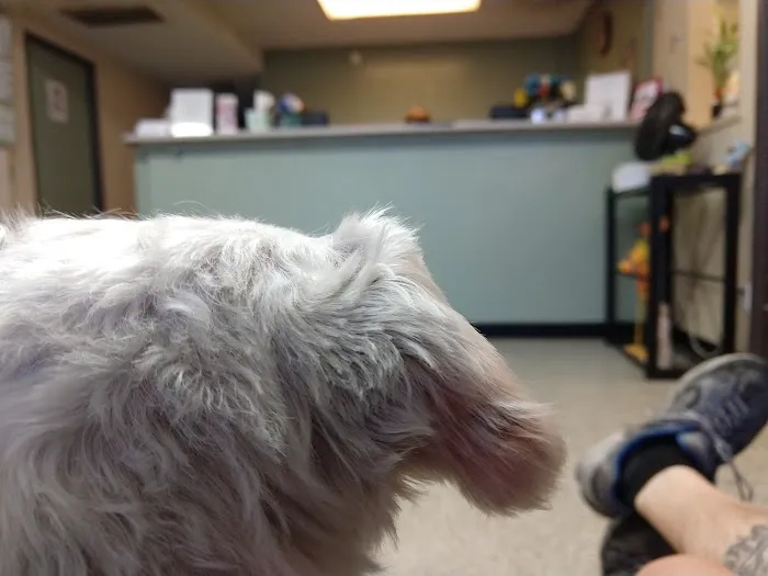 East Valley Veterinary Clinic 7