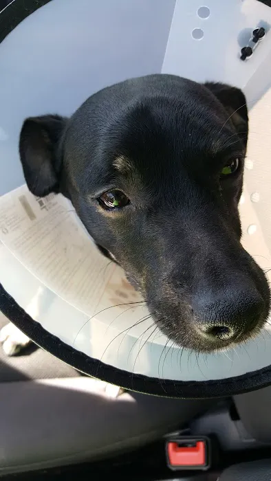 Holiday Humane Society Clinic 1