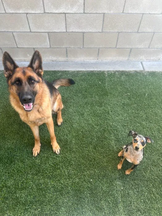 Van Nuys Veterinary Clinic 12