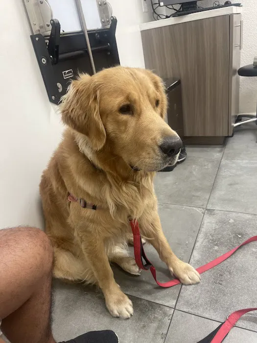 Van Nuys Veterinary Clinic 12