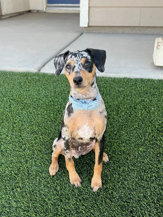 Van Nuys Veterinary Clinic 12