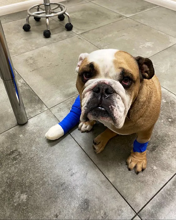 Van Nuys Veterinary Clinic 12