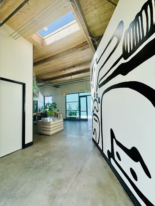 Green Dog Dental and Veterinary Center 12