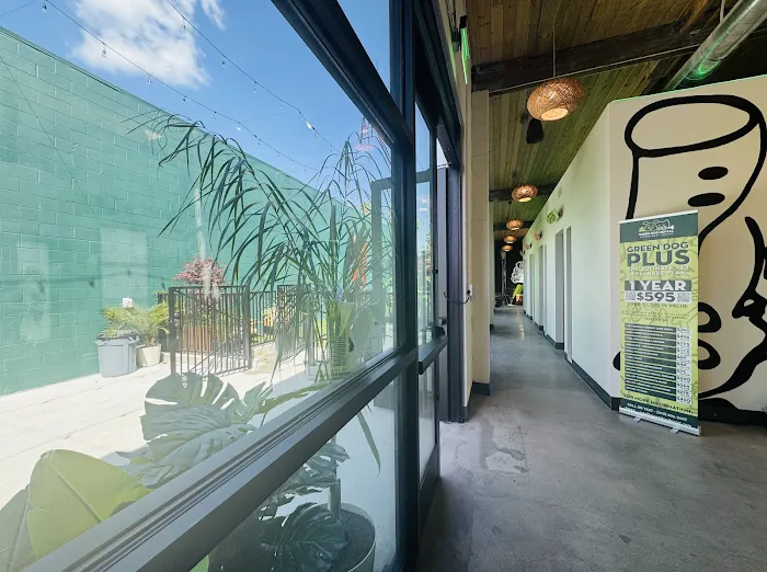 Green Dog Dental and Veterinary Center 12