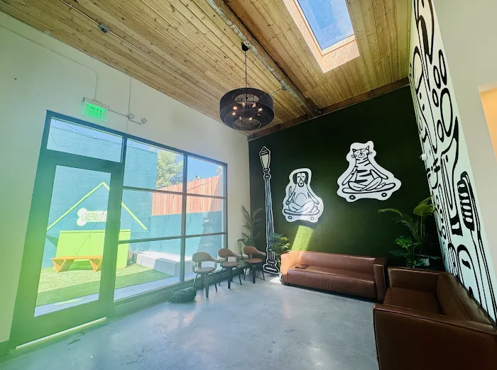 Green Dog Dental and Veterinary Center 12