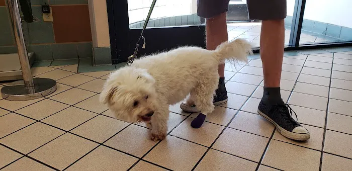 VCA Animal Medical Center 12