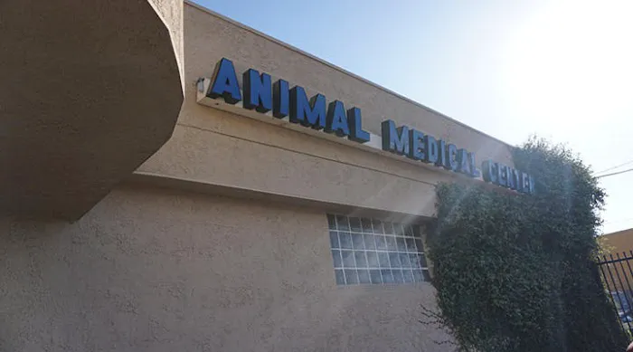 VCA Animal Medical Center 12