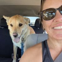 Animal Dermatology Center ico