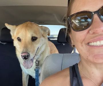 Animal Dermatology Center