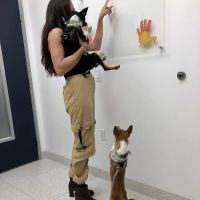 Southpaw Vets ico