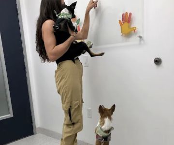 Southpaw Vets