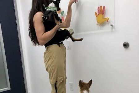 Southpaw Vets