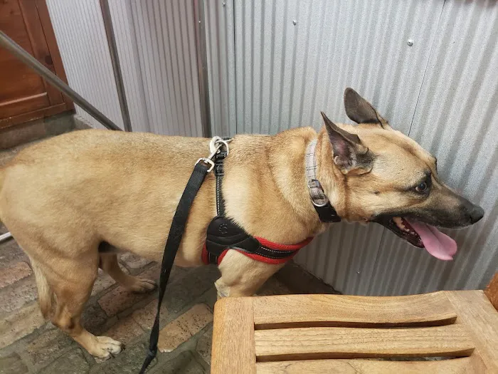 Sherman Oaks Veterinary Group 3