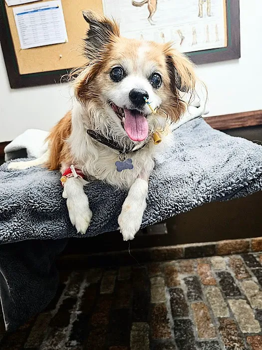 Sherman Oaks Veterinary Group 7