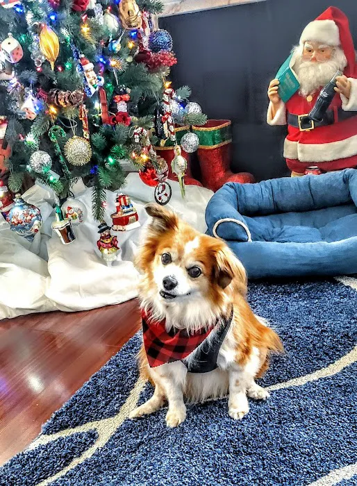 Sherman Oaks Veterinary Group 8