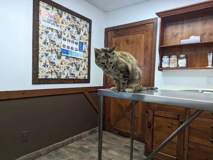 Sherman Oaks Veterinary Group 2