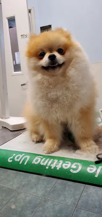 The Pet Doctors of Sherman Oaks 3