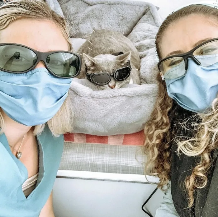 Green Dog Dental and Veterinary Center 10