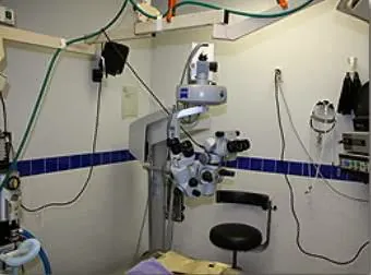 Complete Animal Eye Care Center 9