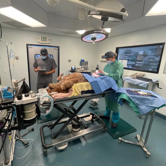 Simon Veterinary Surgical 8