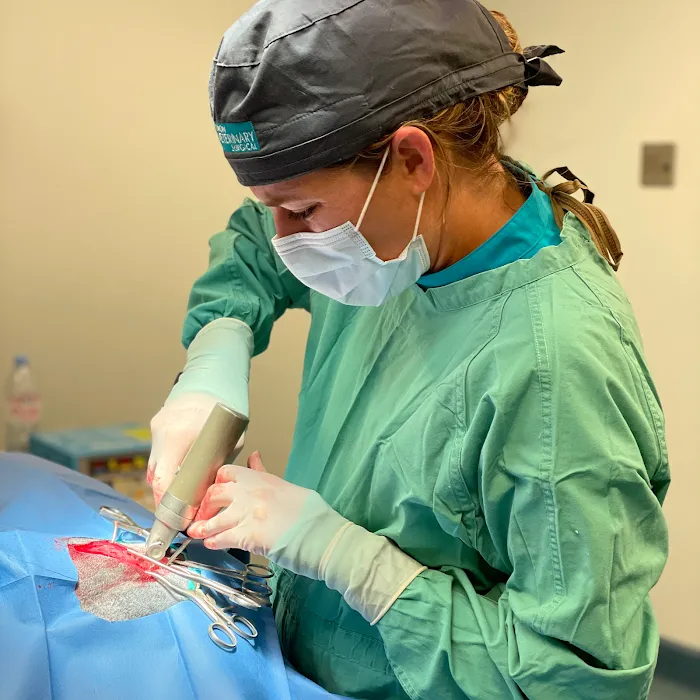 Simon Veterinary Surgical 10