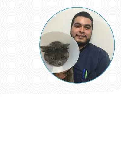 Beverly Oaks Animal Hospital 12