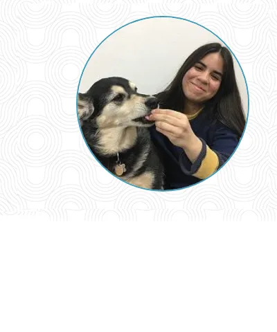 Beverly Oaks Animal Hospital 12