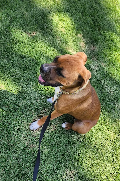 Centennial Animal Hospital 4