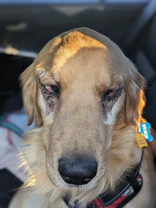 Centennial Animal Hospital 5