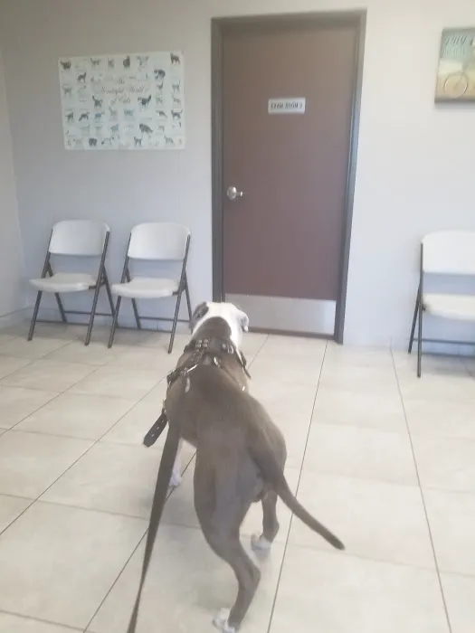 Inland Central Animal Hospital 2