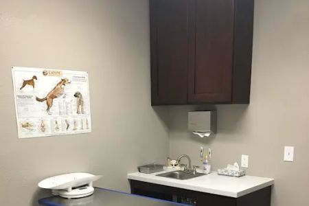 Inland Central Animal Hospital