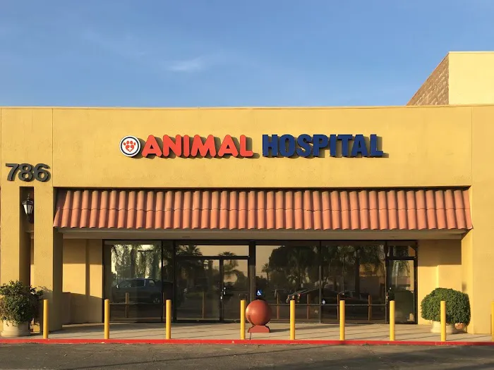 Inland Central Animal Hospital 5