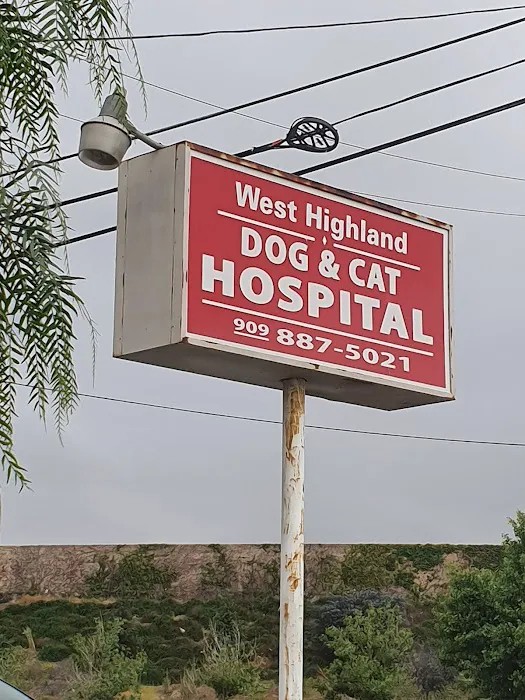 West Highland Dog & Cat Hospital 9