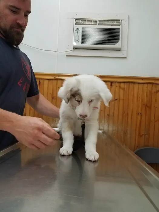 West Highland Dog & Cat Hospital 8