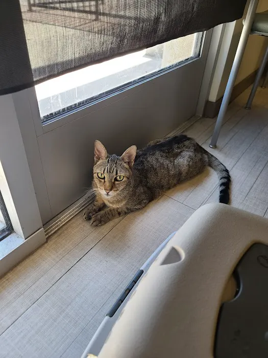 VCA Northside Animal Hospital 1
