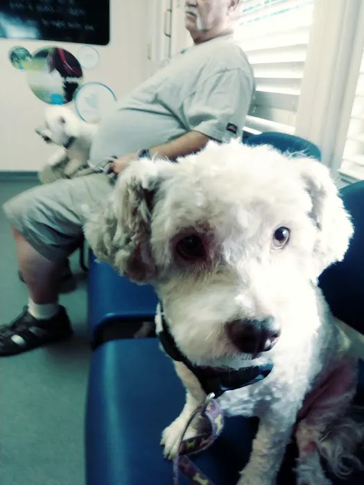 VCA Northside Animal Hospital 10