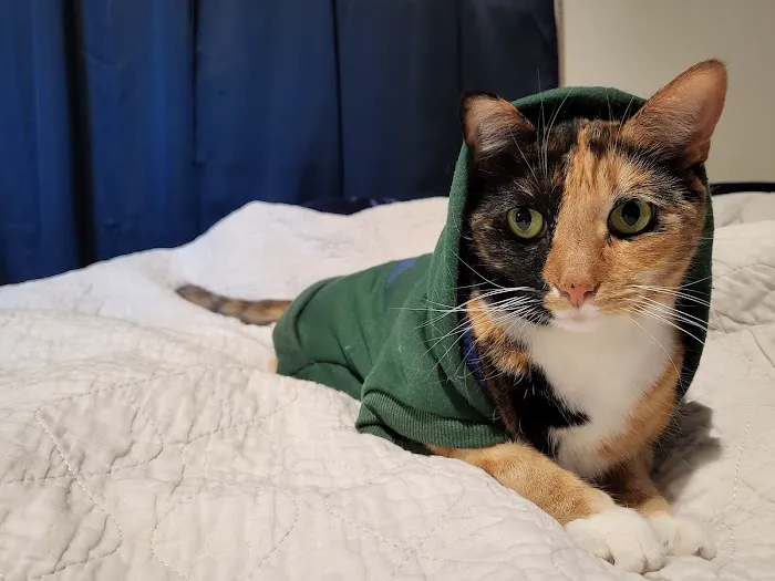 Advanced Pet Care 1