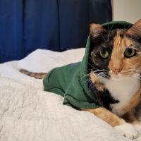 Advanced Pet Care ico