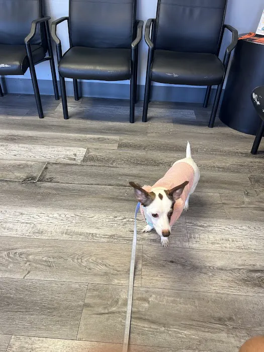 Advanced Pet Care 6