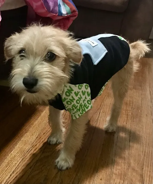 Advanced Pet Care 4