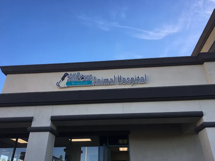 All Paws Riverside Animal Hospital 4