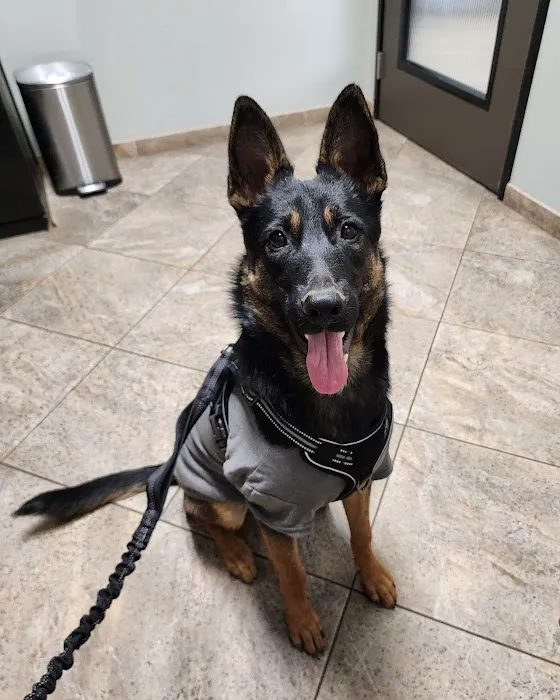 All Paws Riverside Animal Hospital 1