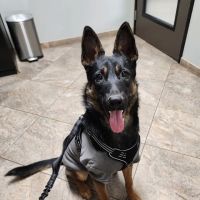 All Paws Riverside Animal Hospital ico