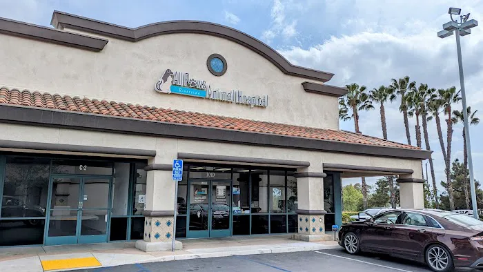 All Paws Riverside Animal Hospital 5