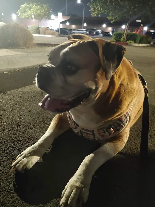 Animal Emergency Clinic 12