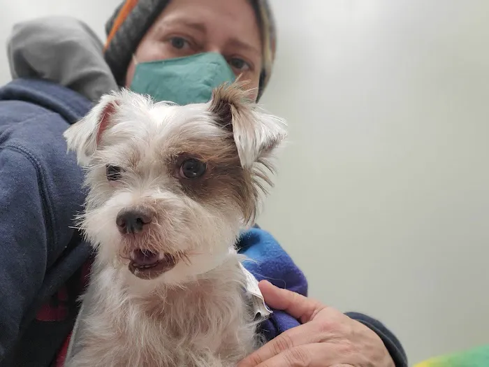 Animal Emergency Clinic 12