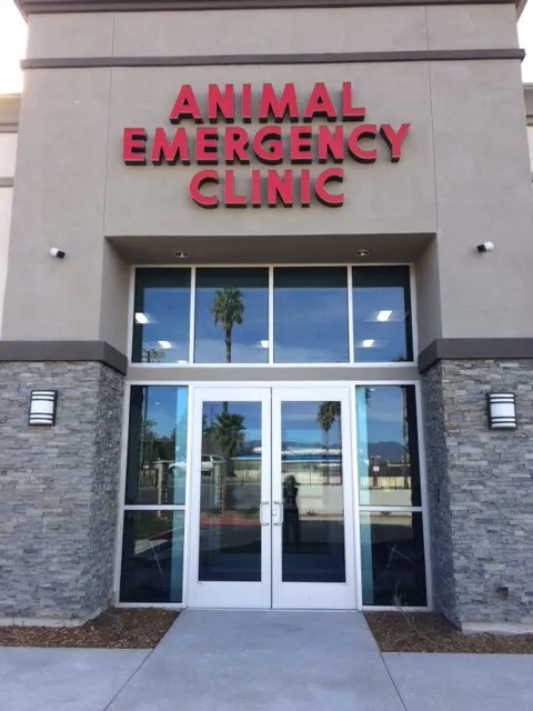 Animal Emergency Clinic 12