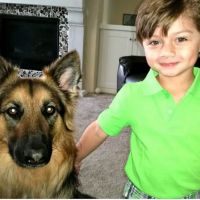 Moreno Valley Animal Hospital ico